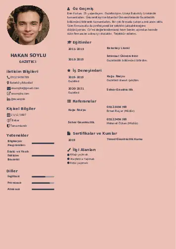 cv indir